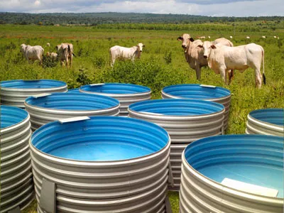 Bebedouro Australiano para animais